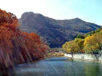 新澳天天开奖资料大全旅游团，鸡粪喂猪